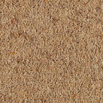 Carlton Woodrush carpet by Penthouse Carpets