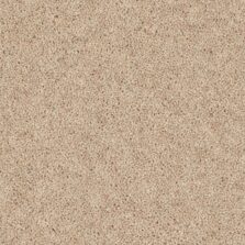Woodland Heather Twist Yardley Stone carpet by Cormar Carpets
