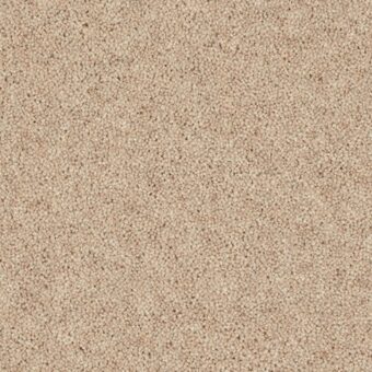 Woodland Heather Twist Yardley Stone carpet by Cormar Carpets