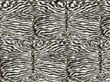 Safari Collection Zebra carpet by Hugh Mackay