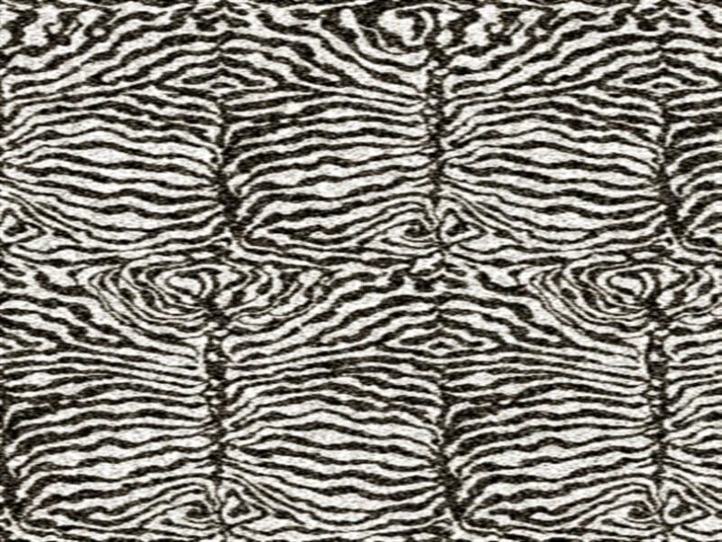 Safari Collection Zebra carpet by Hugh Mackay