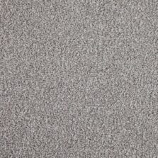 Primo Choice Zinc carpet by Cormar Carpets