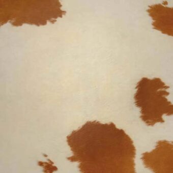 View of Cow Hide - Brown luxury vinyl tile by Harvey Maria