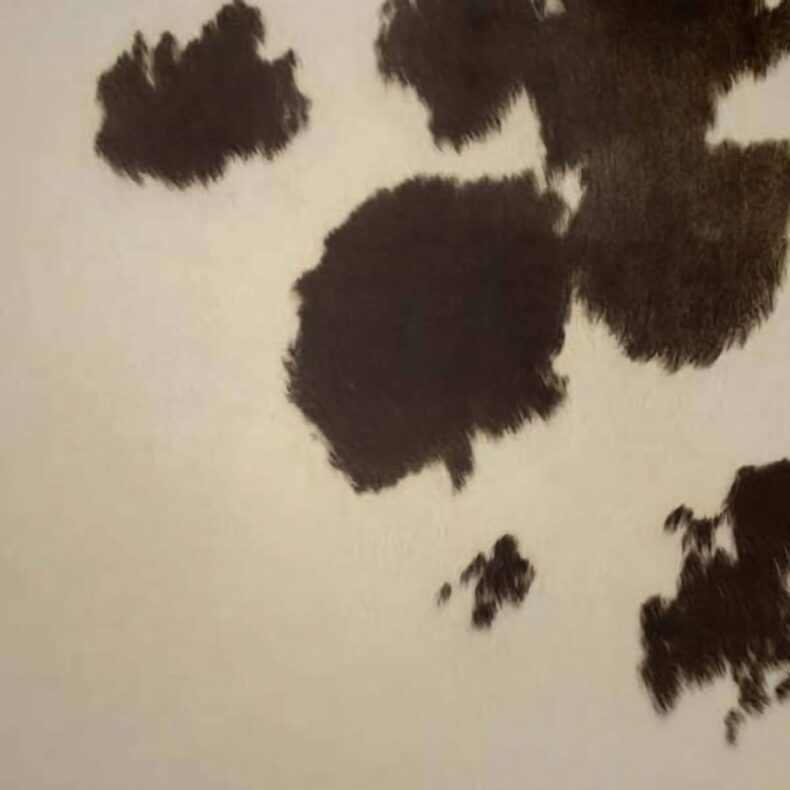 View of Cow Hide - Black luxury vinyl tile by Harvey Maria