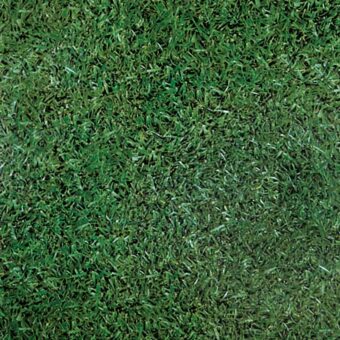 View of Meadow Grass luxury vinyl tile by Harvey Maria
