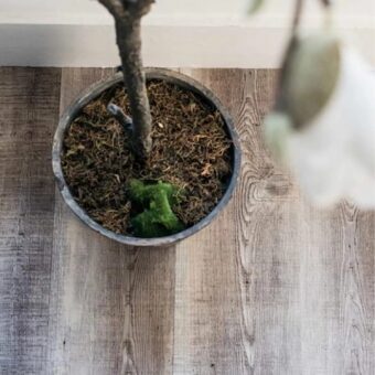 View of Weathered luxury vinyl tile by Harvey Maria