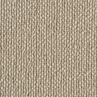 Jacs 26 carpet by Hammer Carpets