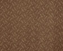 Scala Classic 270 Almond carpet by Lano
