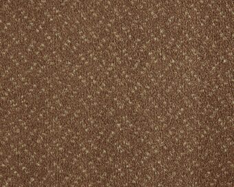 Scala Classic 270 Almond carpet by Lano