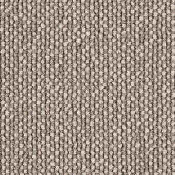Jacs 29 carpet by Hammer Carpets