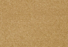 Fascination 370 Gold carpet by Lano