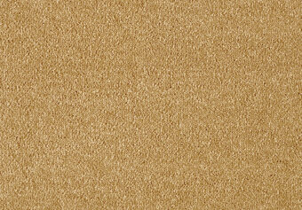 Fascination 370 Gold carpet by Lano