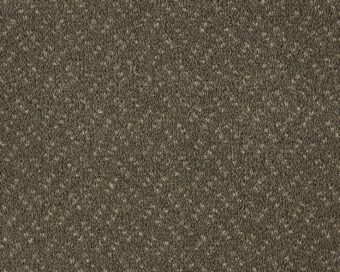 Scala Classic 420 Cornstalk carpet by Lano