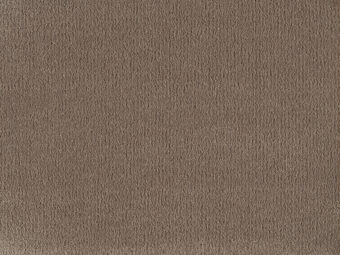 Pleasure 421 Cornstalk 1 carpet by Lano