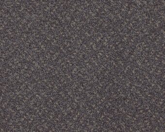 Scala Classic 820 Slate carpet by Lano