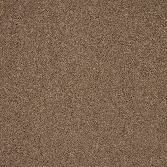 Trinity Autumn Trail carpet by Cormar Carpets
