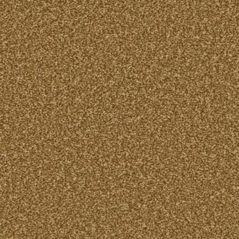Apollo Plus Bumblebee carpet by Cormar Carpets