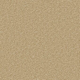 Apollo Plus Caramel carpet by Cormar Carpets