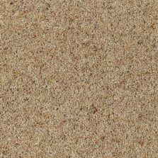 Natural Berber Twist Chamois carpet by Cormar Carpets