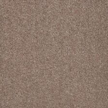 Trinity Driftwood carpet by Cormar Carpets