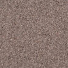 Durham Twist Koala carpet by Hugh Mackay
