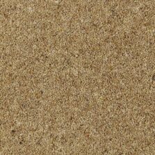 Natural Berber Twist Marigold carpet by Cormar Carpets