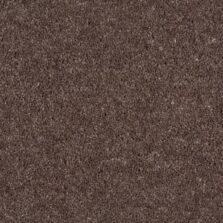Durham Twist Mocha carpet by Hugh Mackay