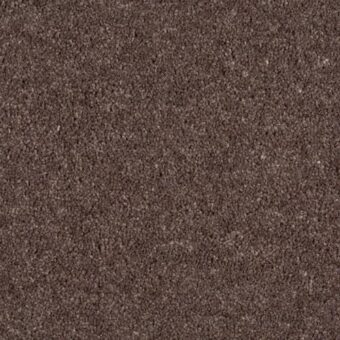 Durham Twist Mocha carpet by Hugh Mackay