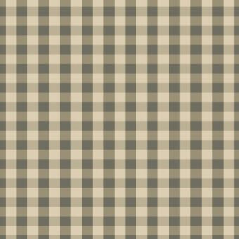 Designer Collection New Gingham Walnut carpet by Hugh Mackay