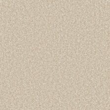 Primo Ultra Nougat carpet by Cormar Carpets