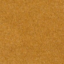 Durham Twist Old Gold carpet by Hugh Mackay