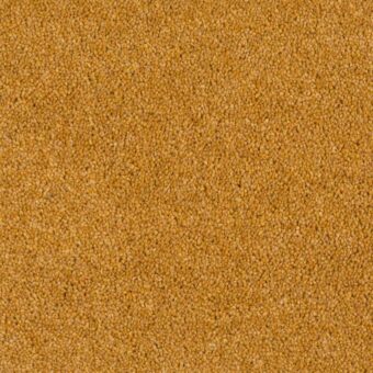 Durham Twist Old Gold carpet by Hugh Mackay