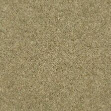 Durham Twist Olive Garden carpet by Hugh Mackay