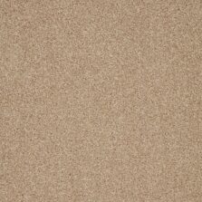 Trinity Palm Sugar carpet by Cormar Carpets