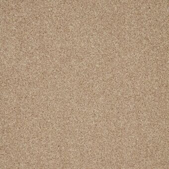 Trinity Palm Sugar carpet by Cormar Carpets