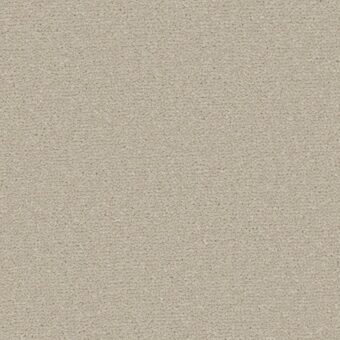 Apollo Plus Pebblestone carpet by Cormar Carpets