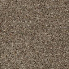 Natural Berber Twist Rustic Clay carpet by Cormar Carpets