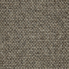Battersea Schnauzer carpet by Gaskell Wool Rich