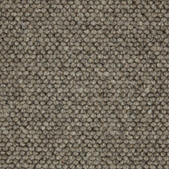 Battersea Schnauzer carpet by Gaskell Wool Rich