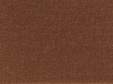 Tasman Terra carpet by Best Wool