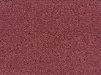 Sofia 140 Old Rose carpet by SmartStrand