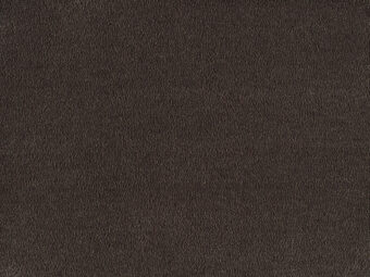 Sofia 290 Sepia carpet by SmartStrand