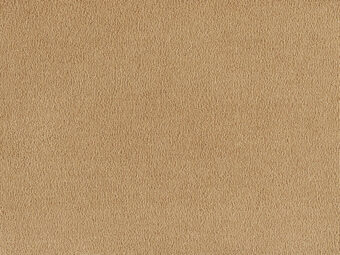 Sofia 370 Gold Leaf carpet by SmartStrand