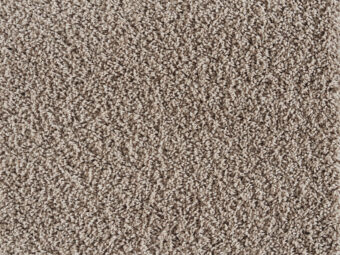 Midori 420 Cornstalk carpet by Lano