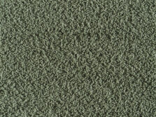 Midori 520 Fern carpet by Lano