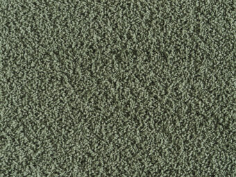 Midori 520 Fern carpet by Lano