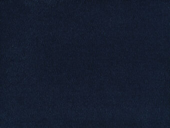 Sofia 700 Navy carpet by SmartStrand