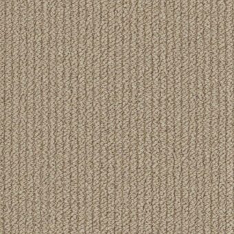 Primo Textures Antelope carpet by Cormar Carpets