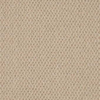 Primo Textures Chalice carpet by Cormar Carpets