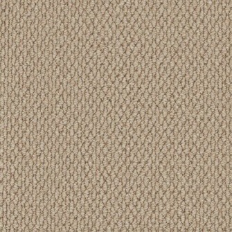 Primo Textures Elk carpet by Cormar Carpets